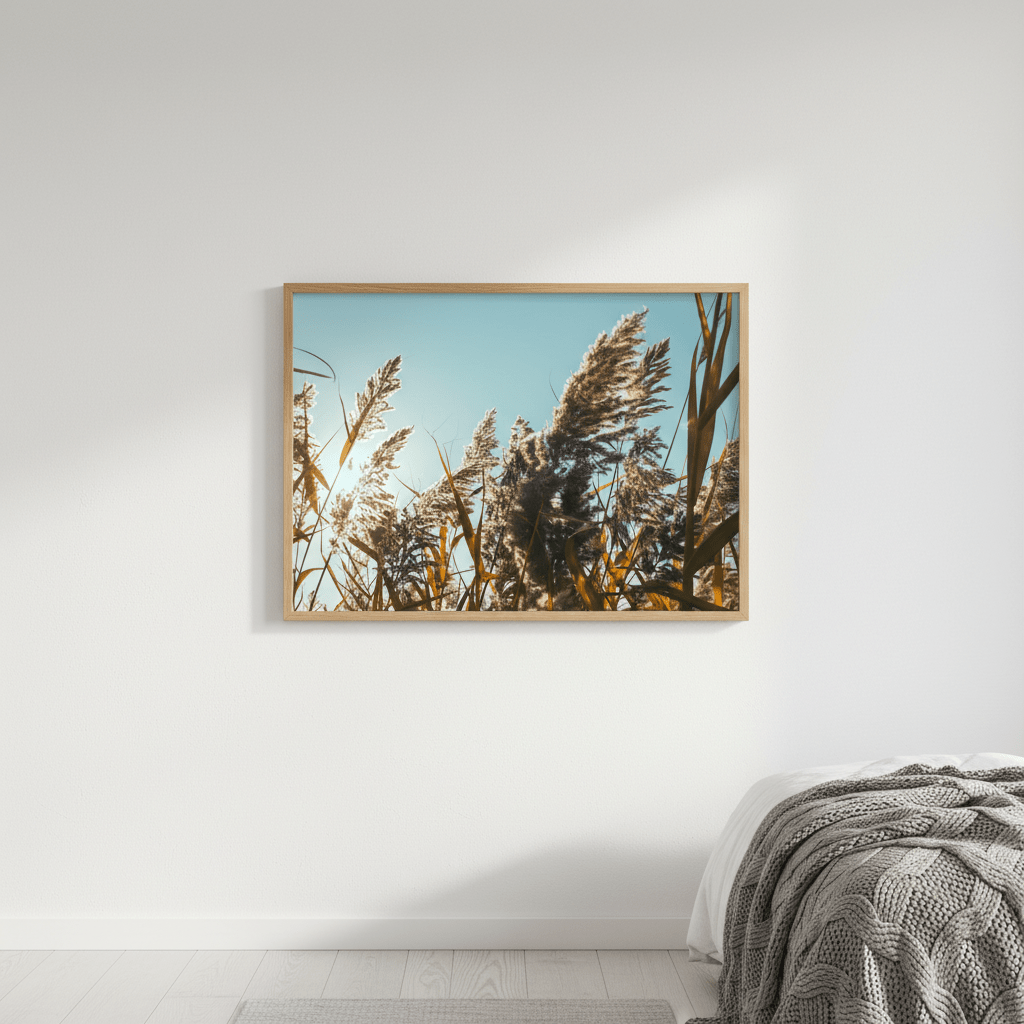 Illuminated Reeds by Aaron Borchardt wall - art - picture - poster