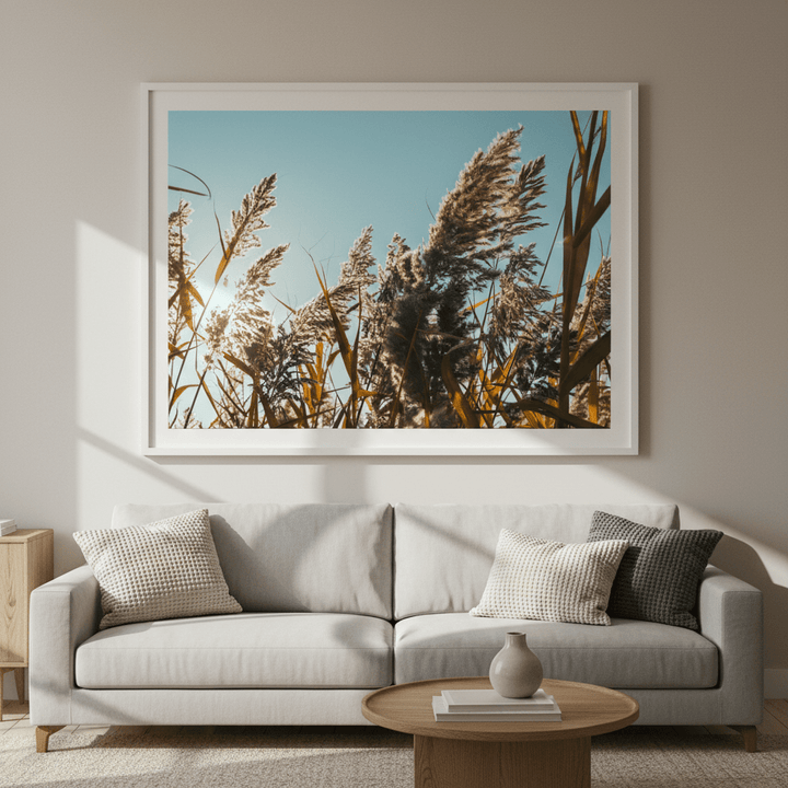 Illuminated Reeds by Aaron Borchardt wall - art - picture - poster