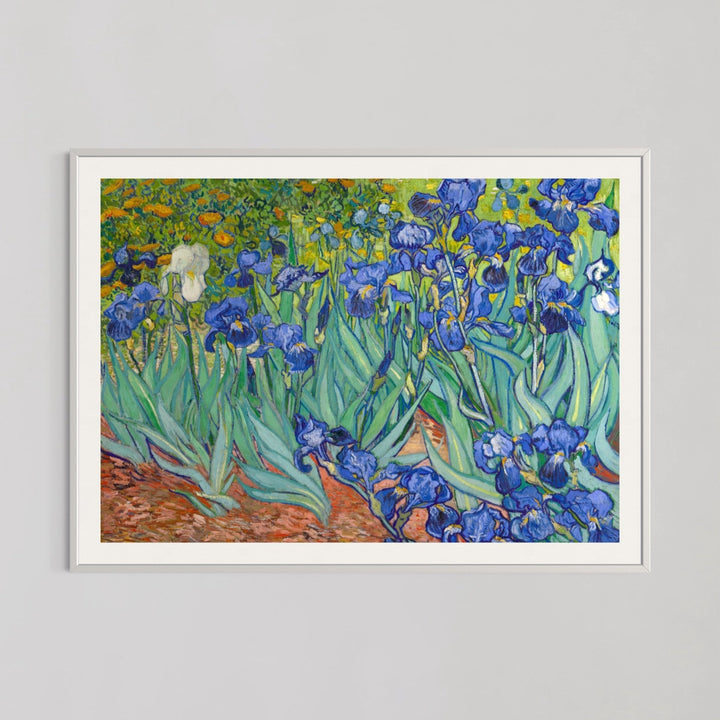 Irises Multicolor Wall Art by Vincent van Gogh - Style My Wall