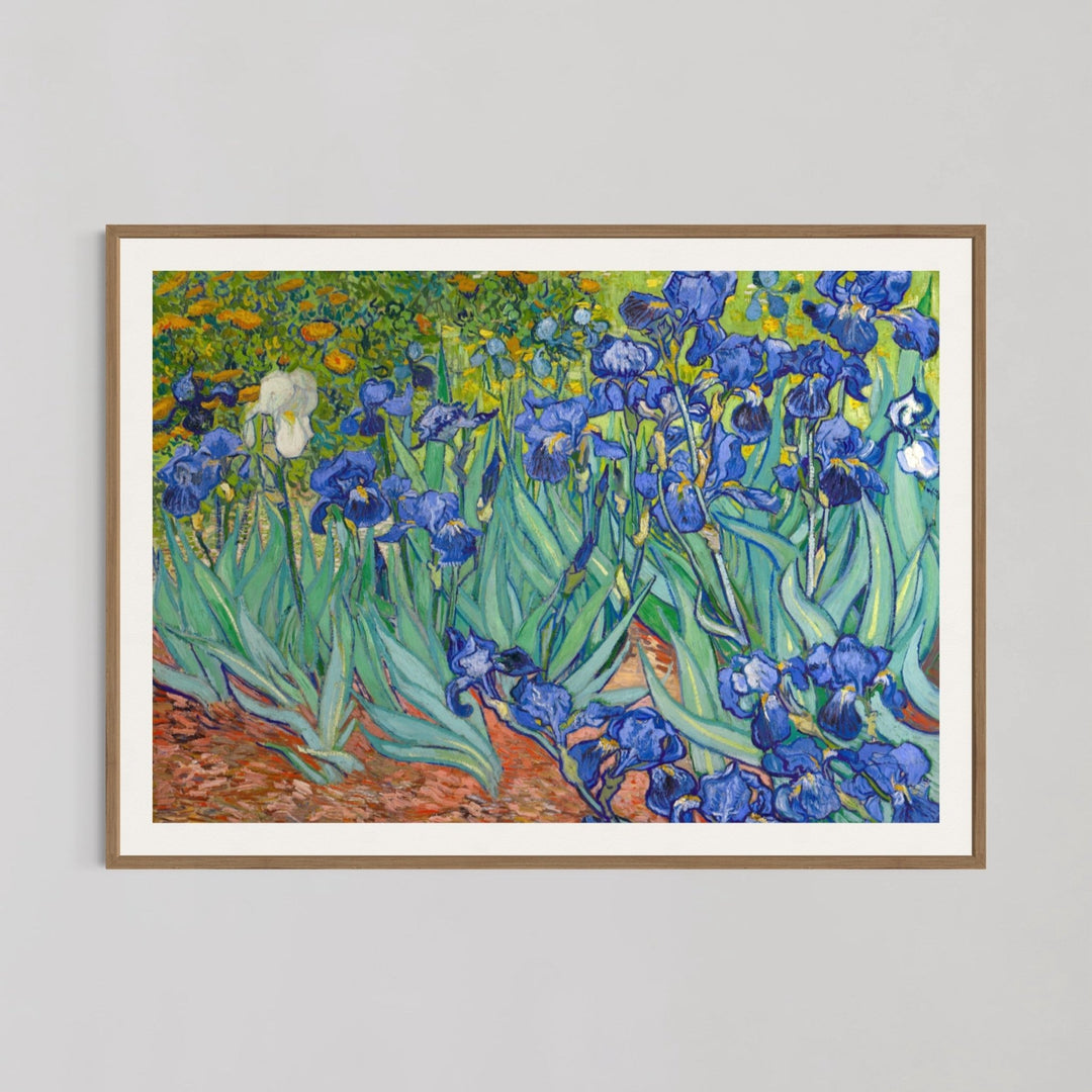 Irises Multicolor Wall Art by Vincent van Gogh - Style My Wall