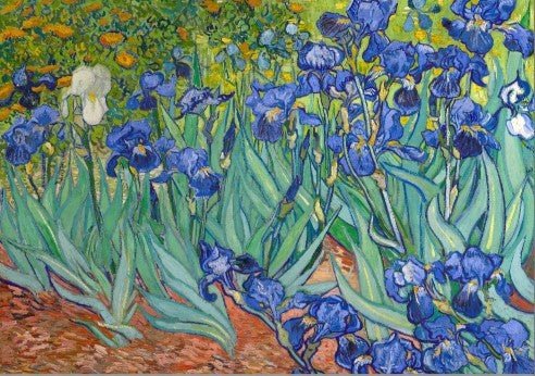 Irises Multicolor Wall Art by Vincent van Gogh