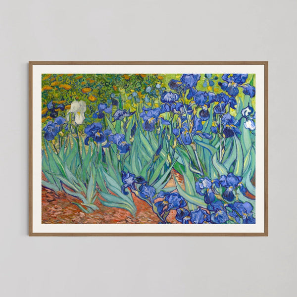 Irises Multicolor Wall Art by Vincent van Gogh