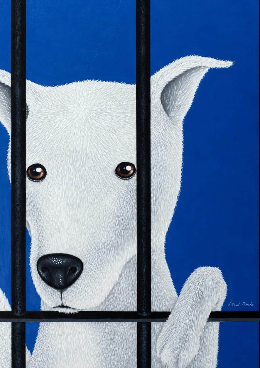 Jail Boy By Ismed Rizal