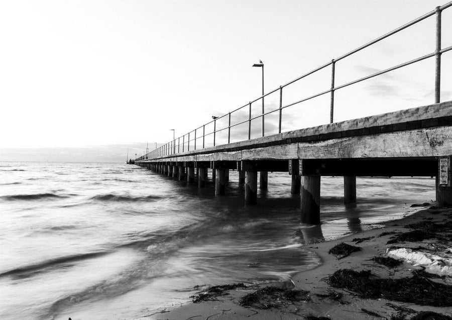 Jetty by Nicole Hunter