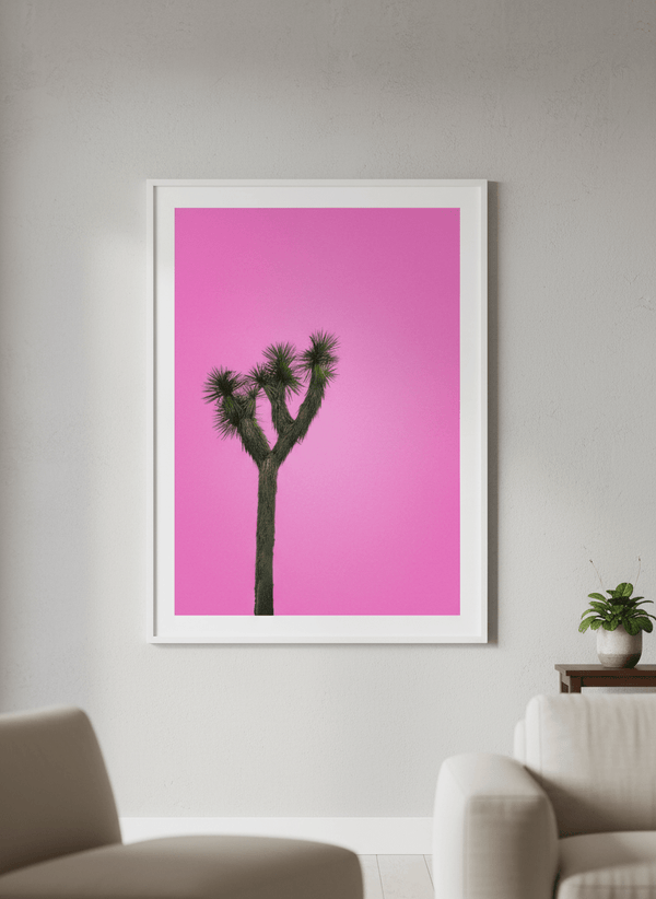 Joshua Tree With Pink Sky By Tom Windeknecht