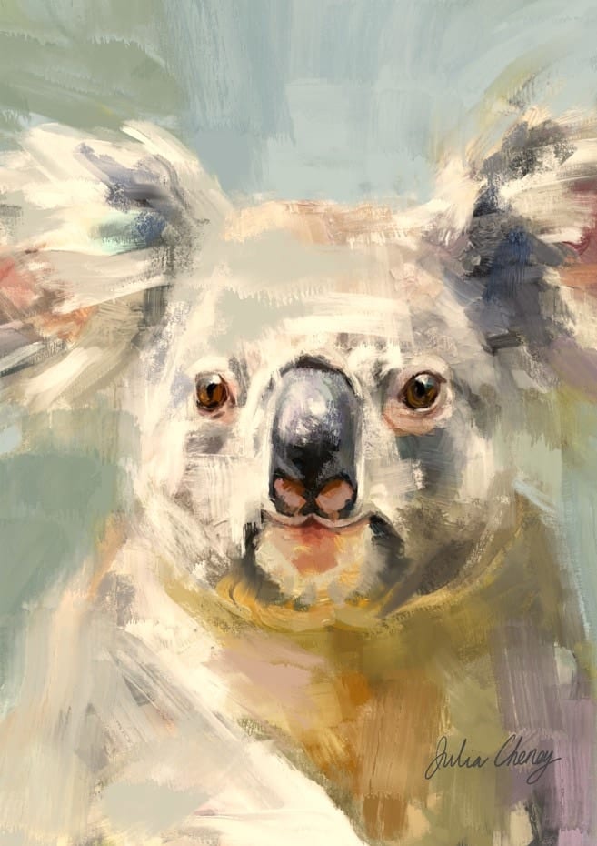 Koala Bear Julia Cheney