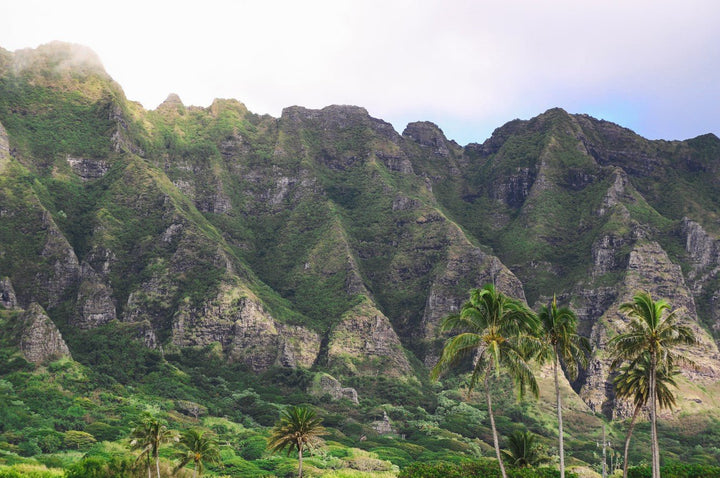 Tropical landscape with green mountains and palm trees framed