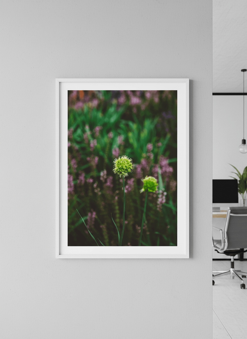 Contemporary wall art featured in a bright modern office workspace