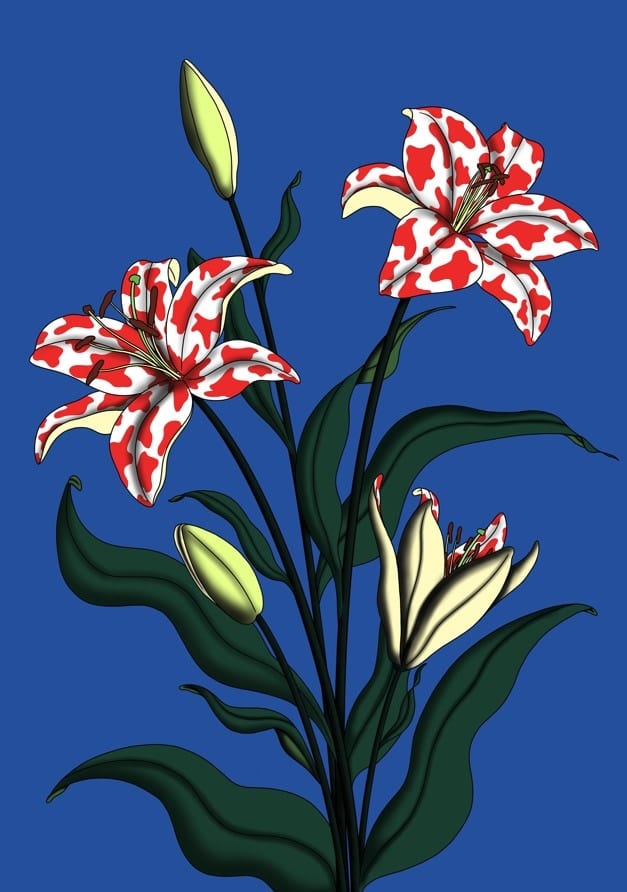 Lilies By Lisa Goebel