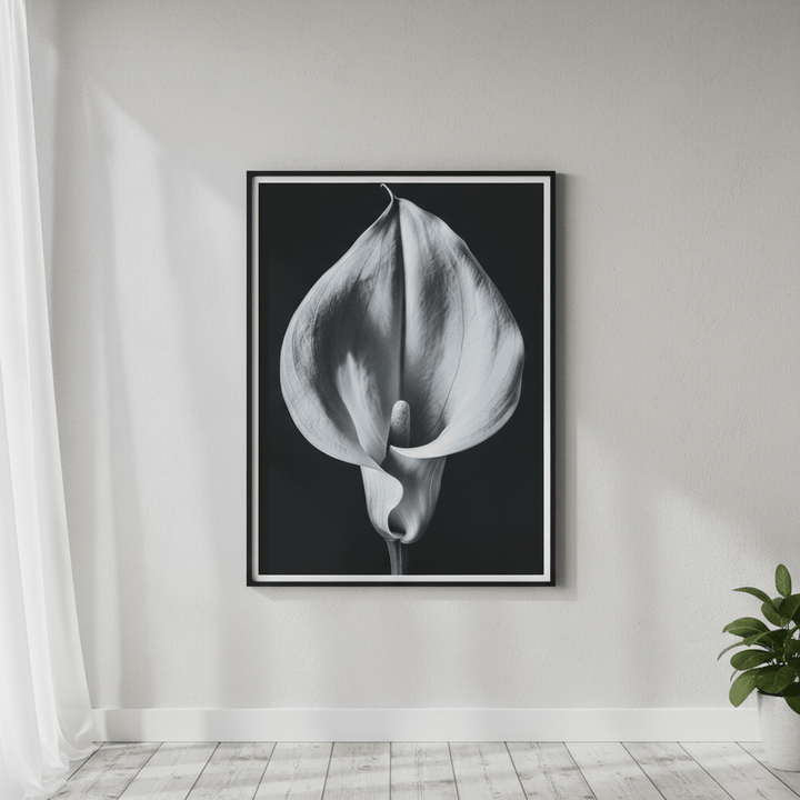 Lily by Peter Attard wall - art - picture - poster