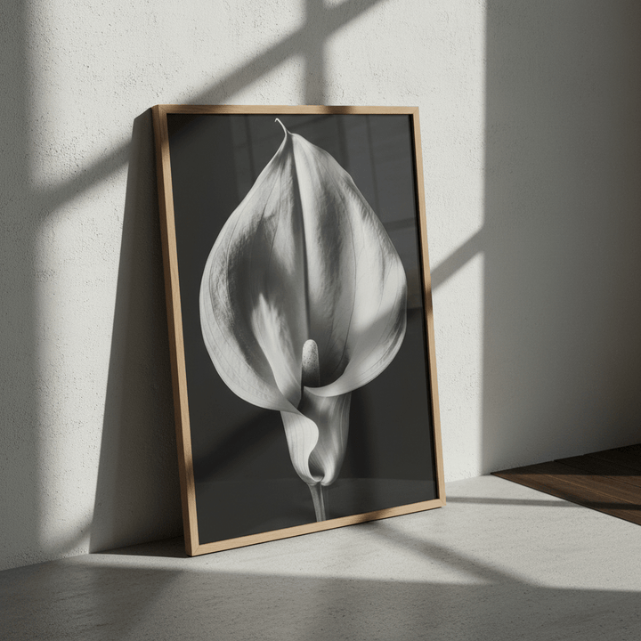 Lily by Peter Attard wall - art - picture - poster