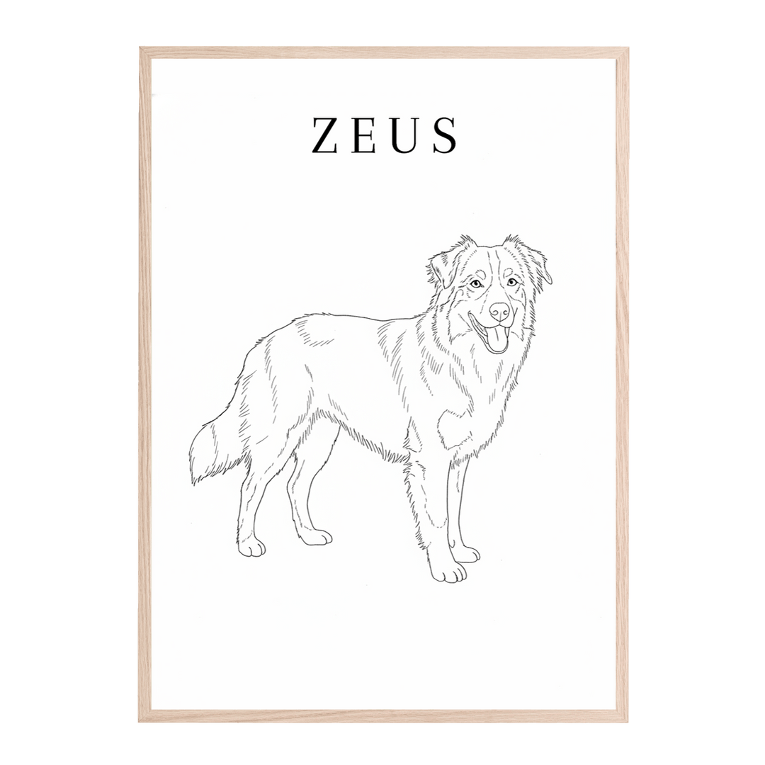 Line Art Pet Drawing Personalised Wall Art wall - art - picture - poster