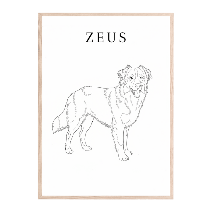 Line Art Pet Drawing Personalised Wall Art wall - art - picture - poster