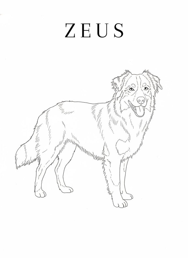 Line Art Pet Drawing Personalised Wall Art wall - art - picture - poster
