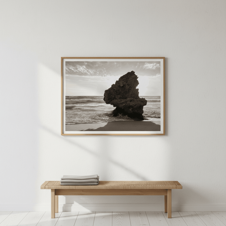 Lizard Head Rock by Steven Scott wall - art - picture - poster