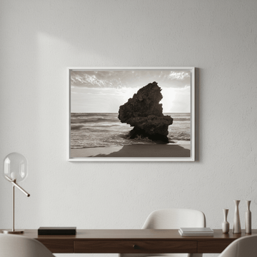 Lizard Head Rock by Steven Scott wall - art - picture - poster