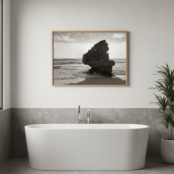 Lizard Head Rock by Steven Scott wall - art - picture - poster