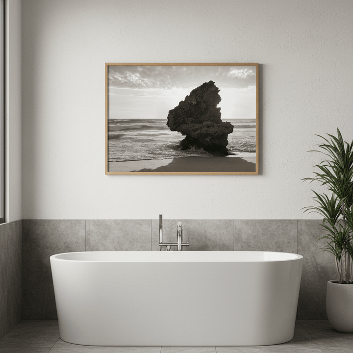 Lizard Head Rock by Steven Scott wall - art - picture - poster