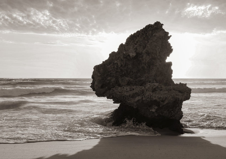 Lizard Head Rock by Steven Scott