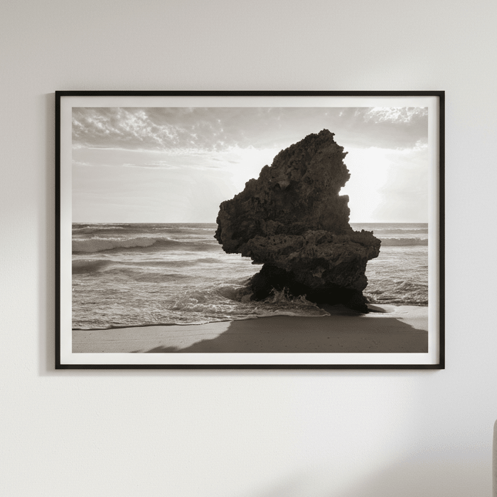 Lizard Head Rock by Steven Scott wall - art - picture - poster