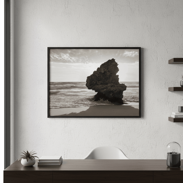 Lizard Head Rock by Steven Scott wall - art - picture - poster