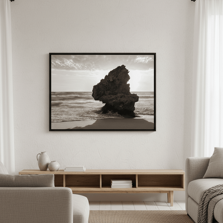 Lizard Head Rock by Steven Scott wall - art - picture - poster