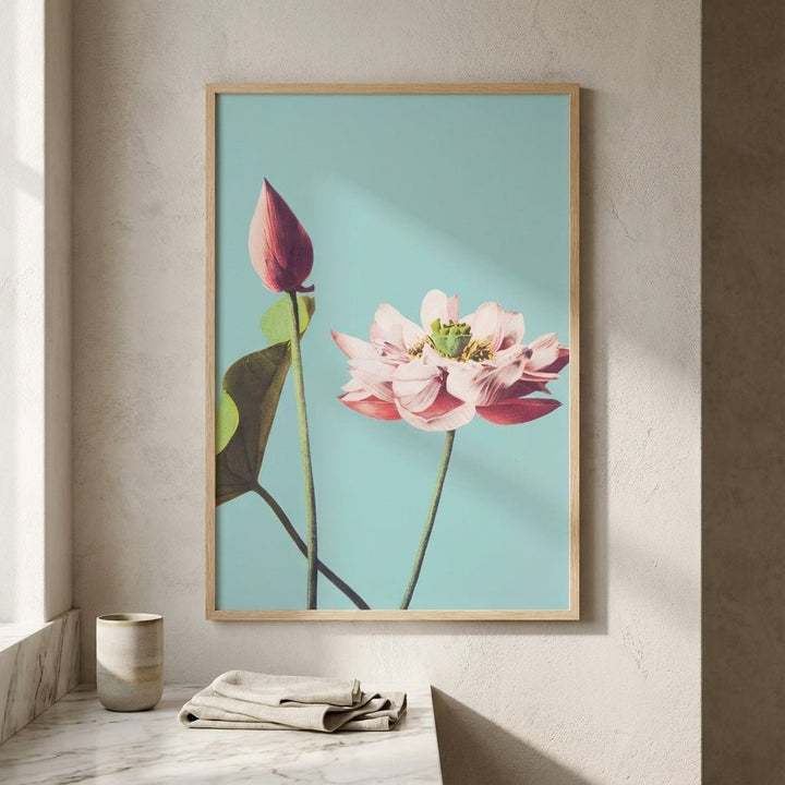 Lotus Flower Vintage by Ogawa Kazumasa wall - art - picture - poster