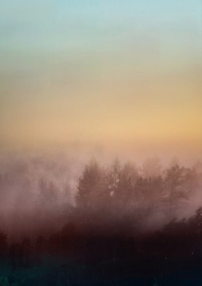 Magical Forest by Hope Bainbridge