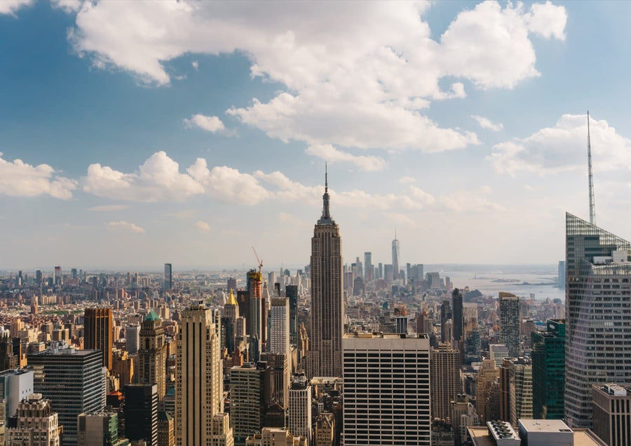 Manhattan View  By Bethany Young