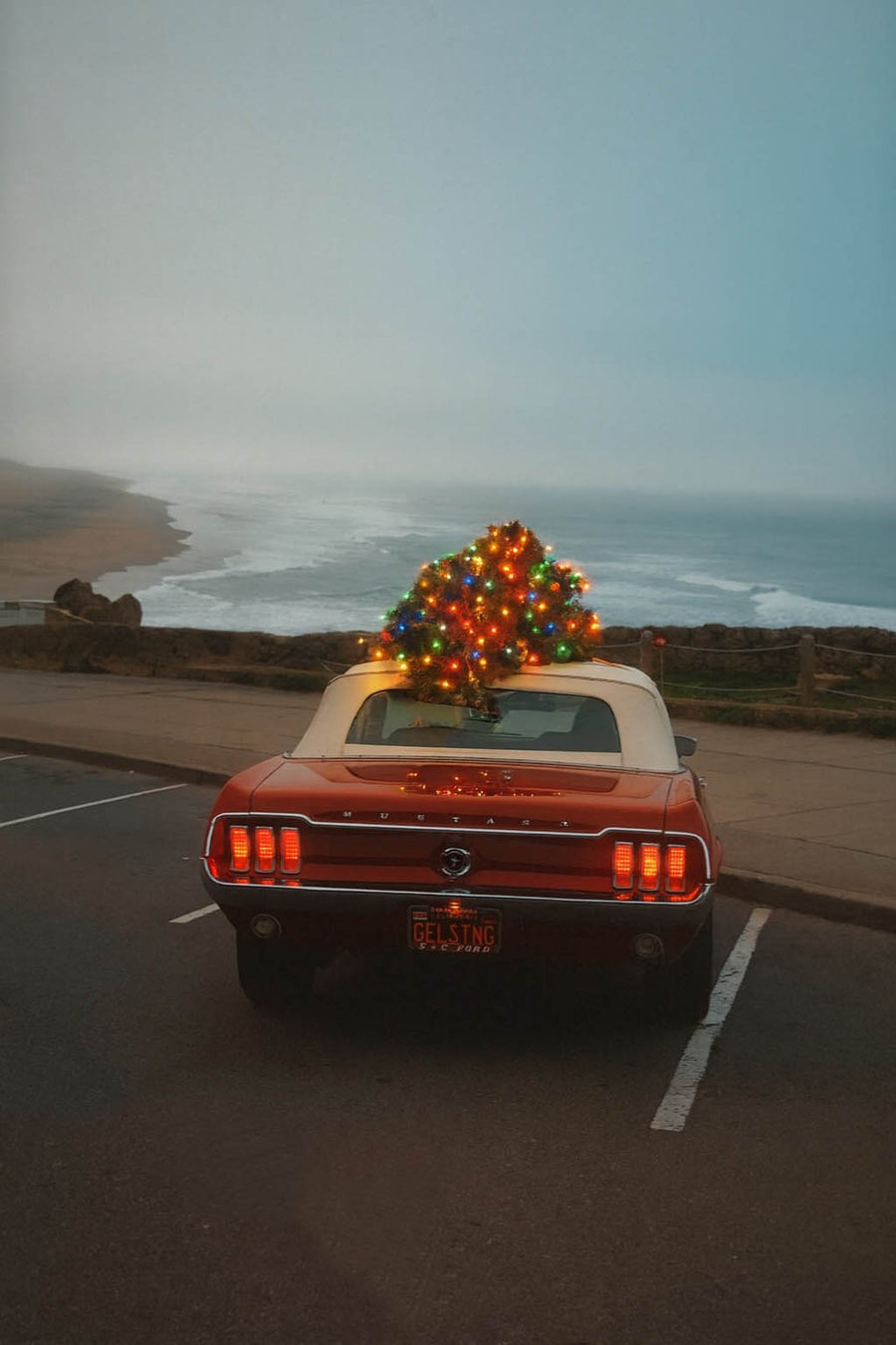 Merry Mustang by Gelica Peralta