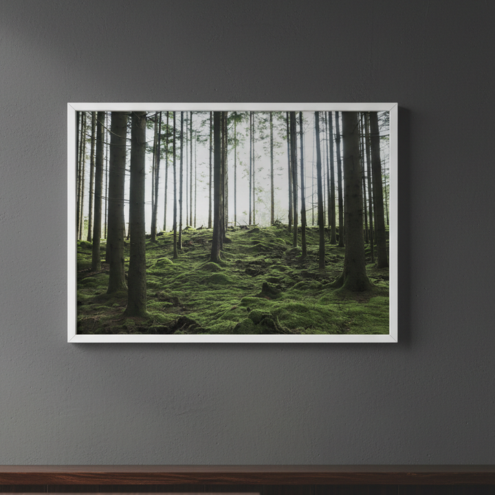 Markaryd by Robin Skjoldborg