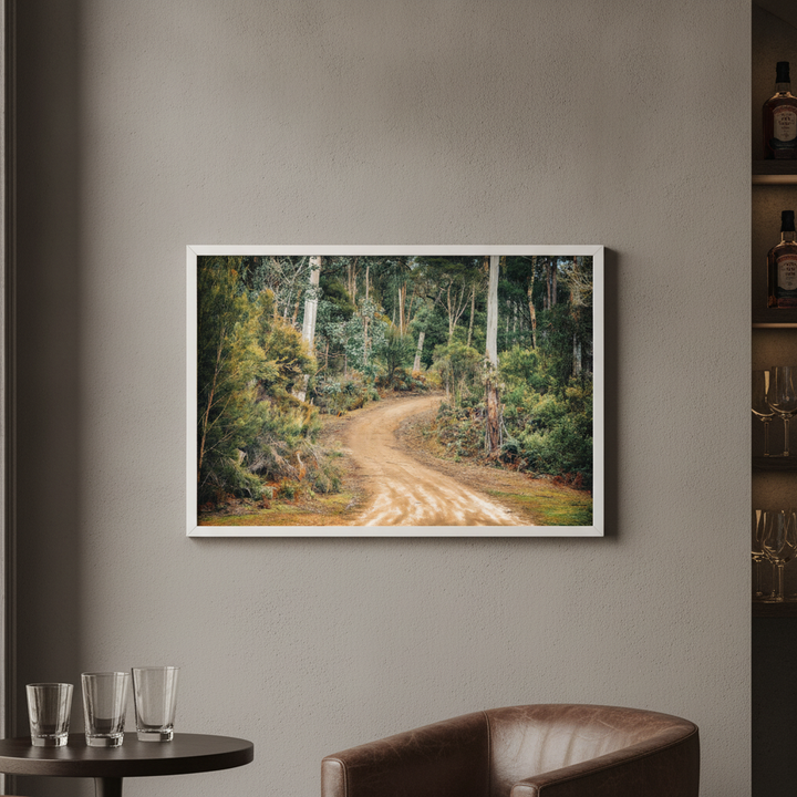 Australian Bush Trek Photograph Art