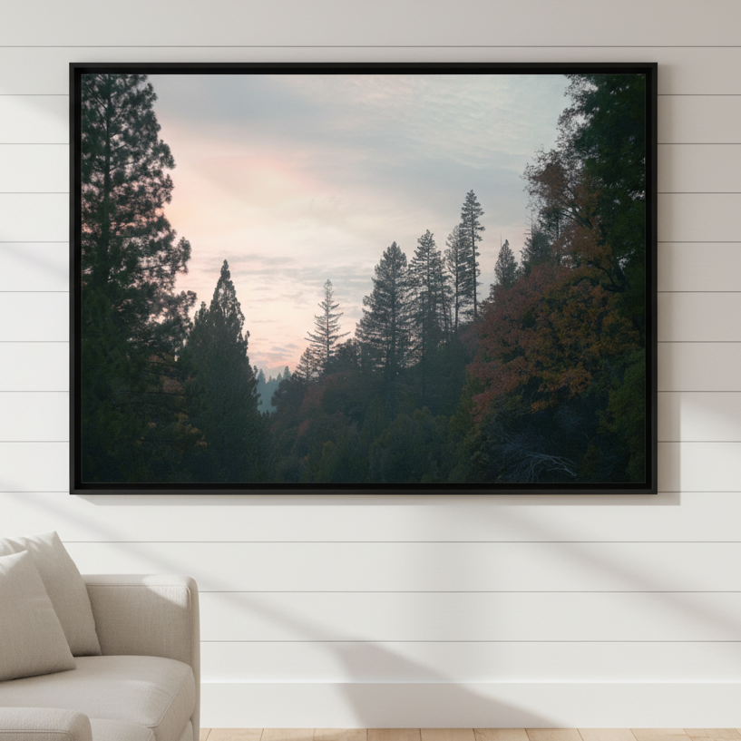 Evening Drive by Hope Bainbridge