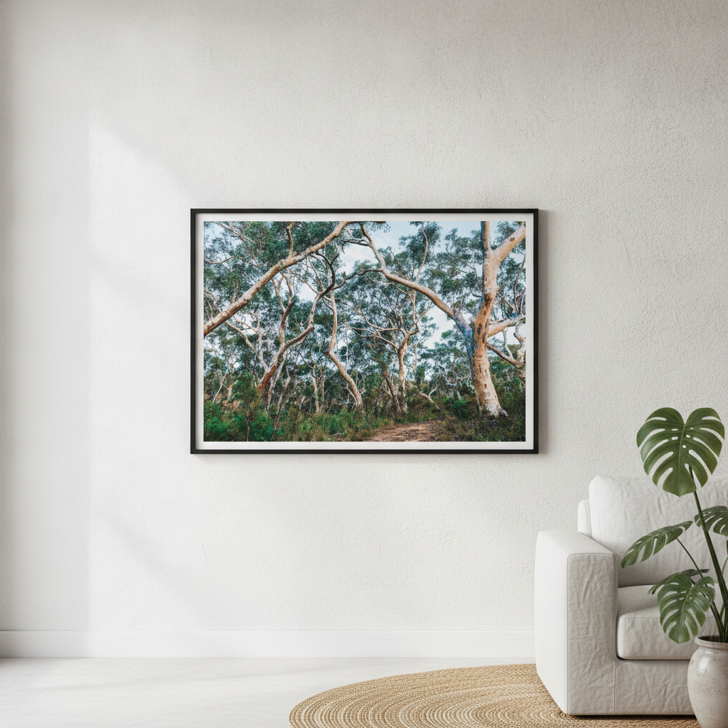 Australian Bush Photography Wall Art