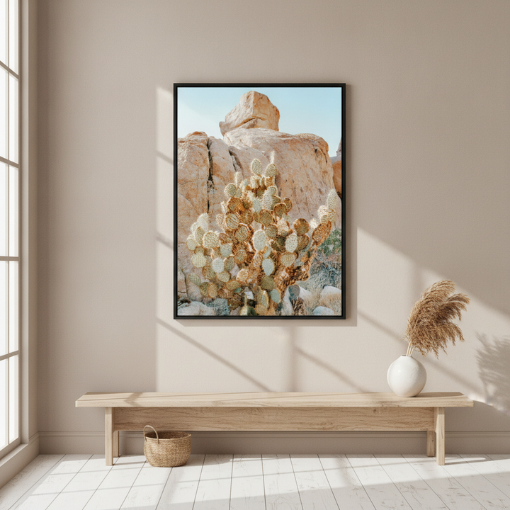 Summer Time Cactus Photograph