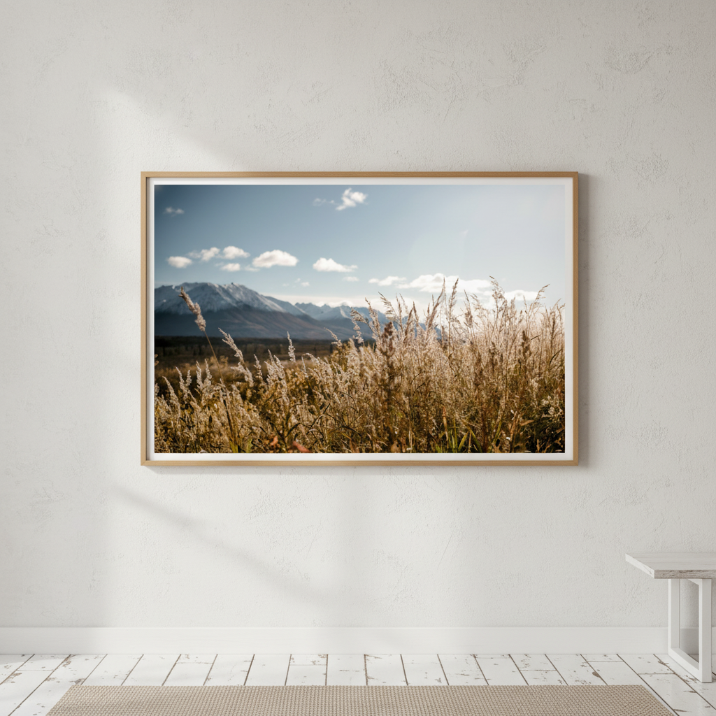 Autumn Light by Cordula Schaefer