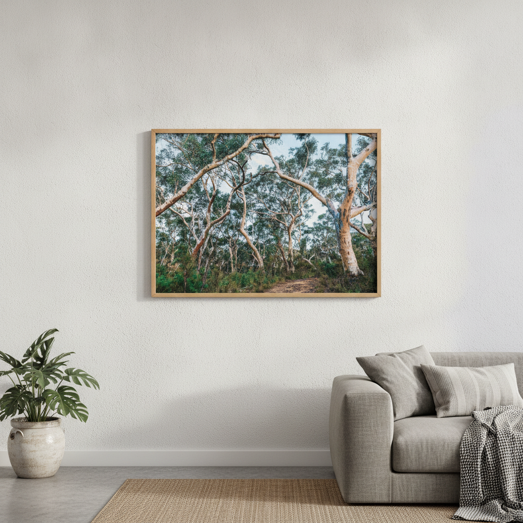 Australian Bush Photography Wall Art