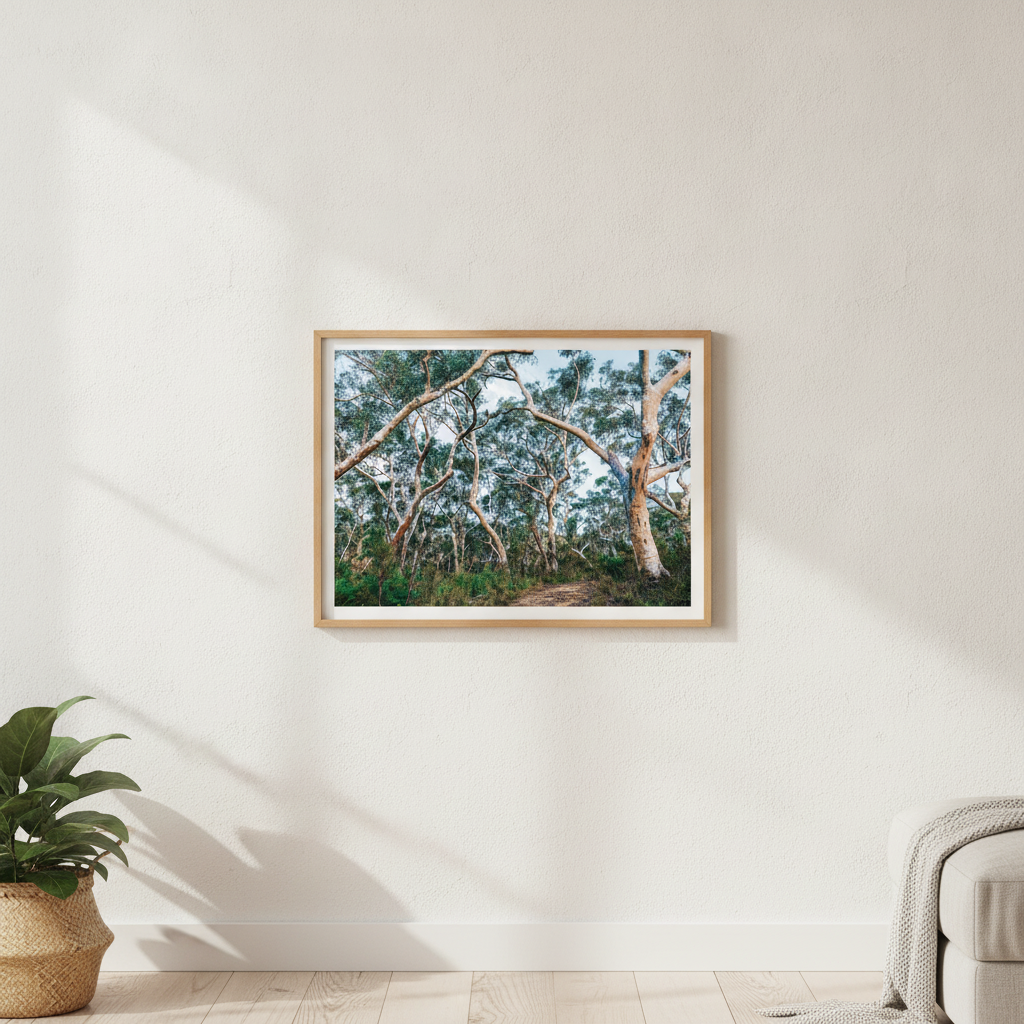 Australian Bush Photography Wall Art