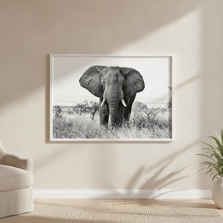 Bull Elephant Landscape Photograph Black and White