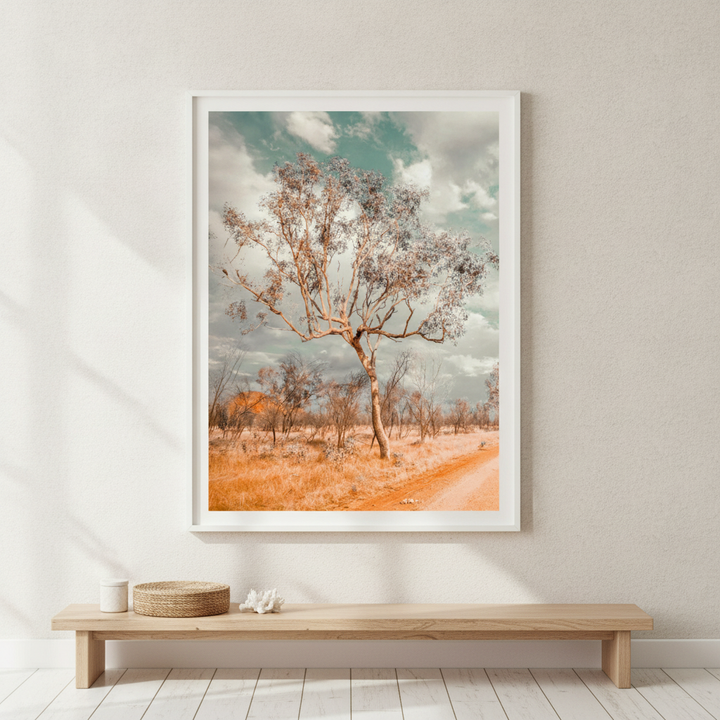 Australian Bush Tree Portrait Photograph
