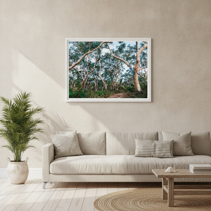 Australian Bush Photography Wall Art