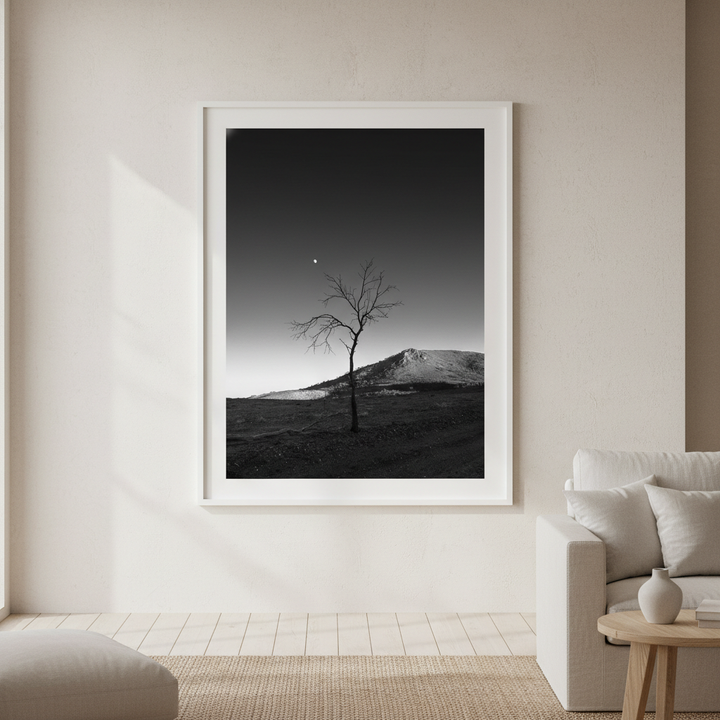 Warraweena - Moon Tree by Steven Scott