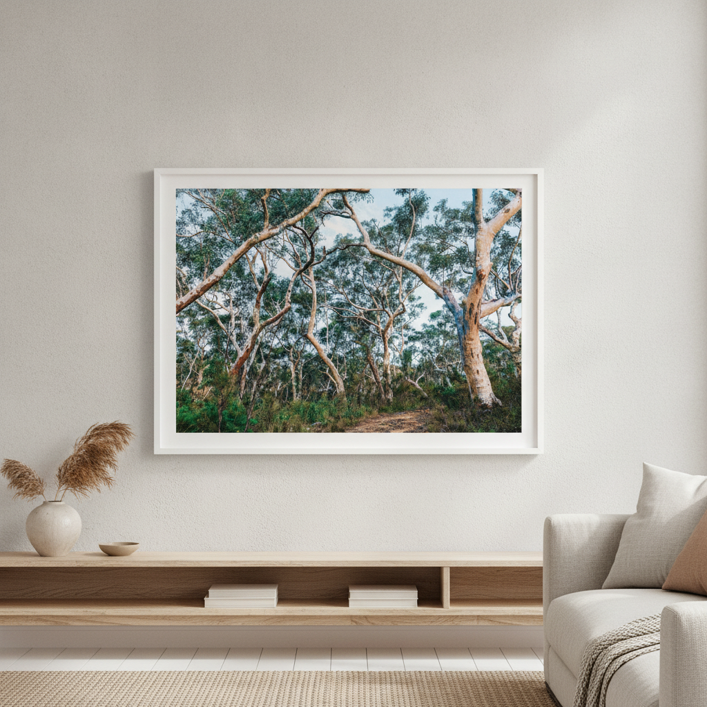Australian Bush Photography Wall Art