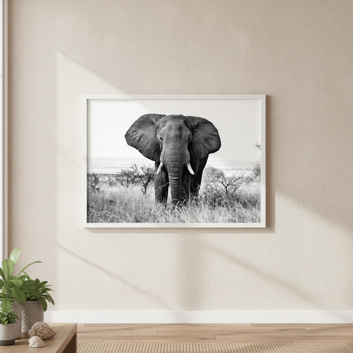 Bull Elephant Landscape Photograph Black and White