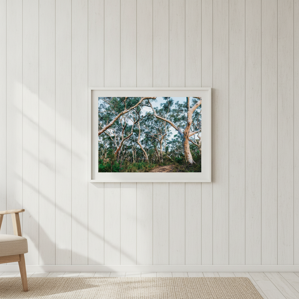 Australian Bush Photography Wall Art