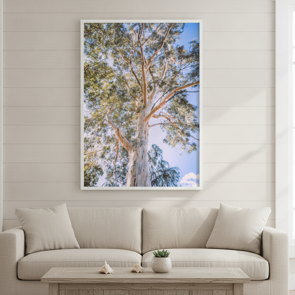 Australian Bush Gum Tree Photography