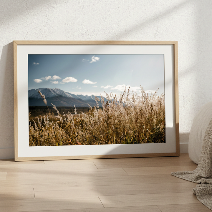 Autumn Light by Cordula Schaefer