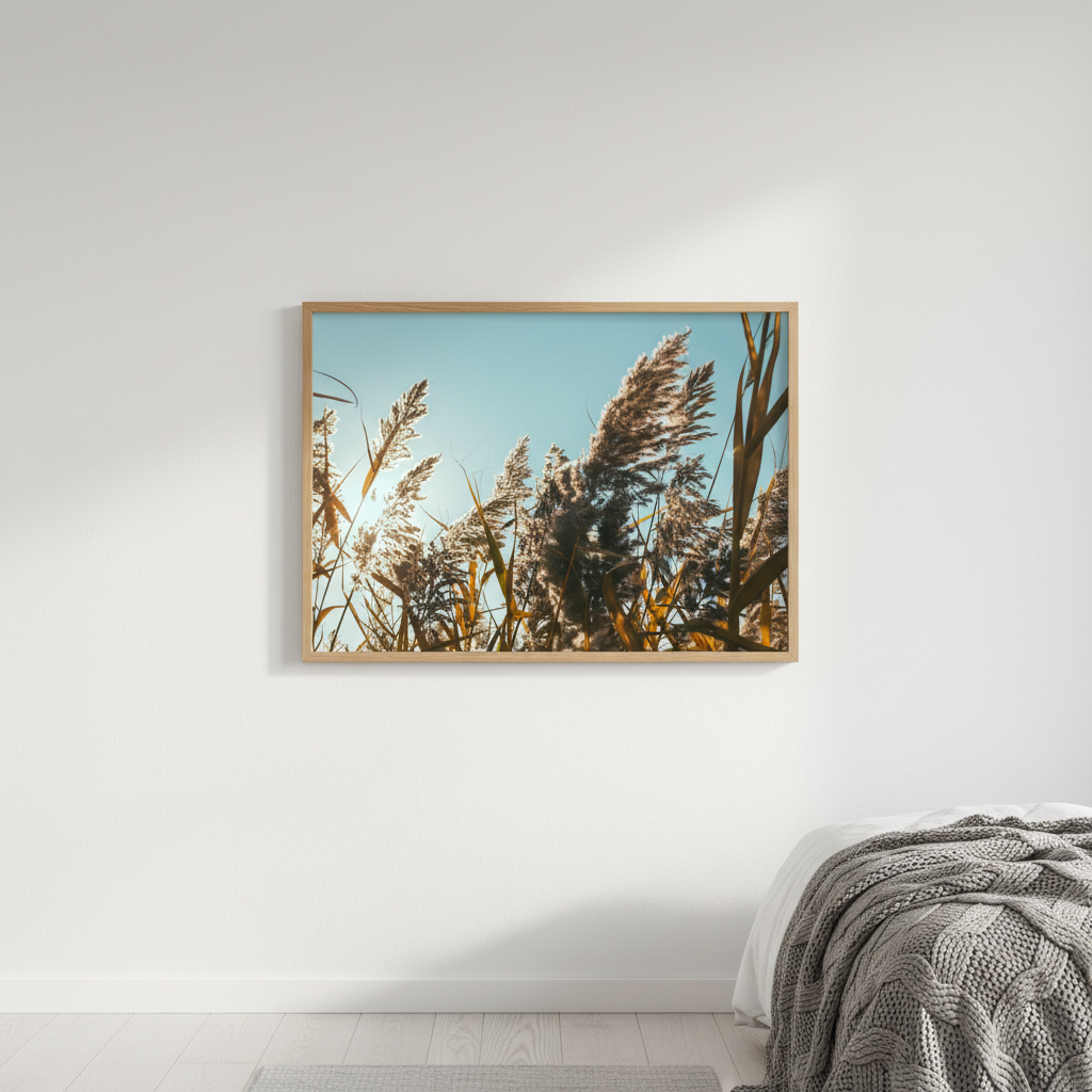 Illuminated Reeds by Aaron Borchardt