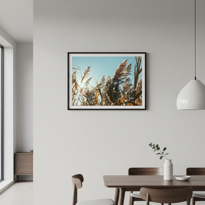 Illuminated Reeds by Aaron Borchardt