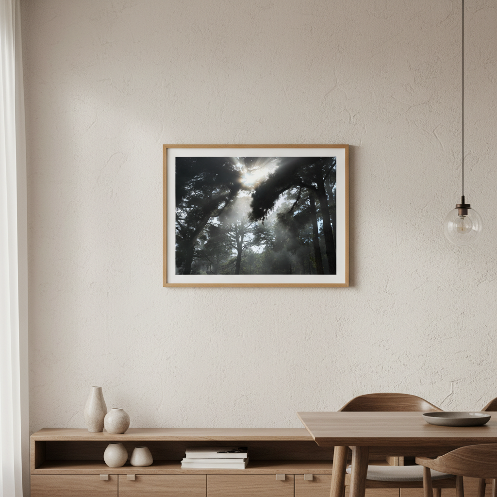 Forest light by Robin Skjoldborg